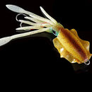 Isca Artificial Lula Ultra Realista Fluorescente 20, 60, 80, 100, 120 e 150g Fluorescente para Pesca Oceânica