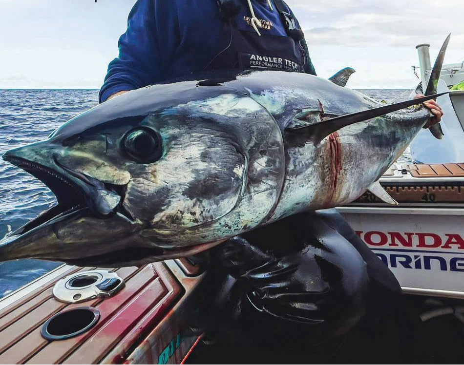 Linha de Pesca Fluorocarbono
