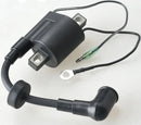 6E0-85570 Ignition Coil With Cap For Yamaha Outboard Motor 2 Stroke 4HP 5HP Parsun Powertec SEAPRO etc 5HP 6E0-85570-00 6E0-8557 - Jig Brasil