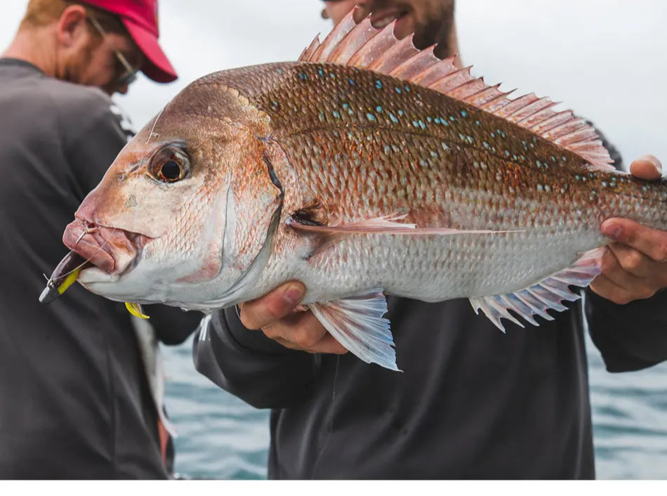 Linha de Pesca Fluorocarbono