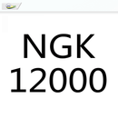 Molinete Platino DRAG de 15 kg 17+1 Rolamentos Ideal para Pesca de Praia FRETE GRÁTIS - Jig Brasil