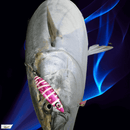 Slow Jigi/Glow 150, 200 e 260 Gramas FRETE GRÁTIS - Jig Brasil